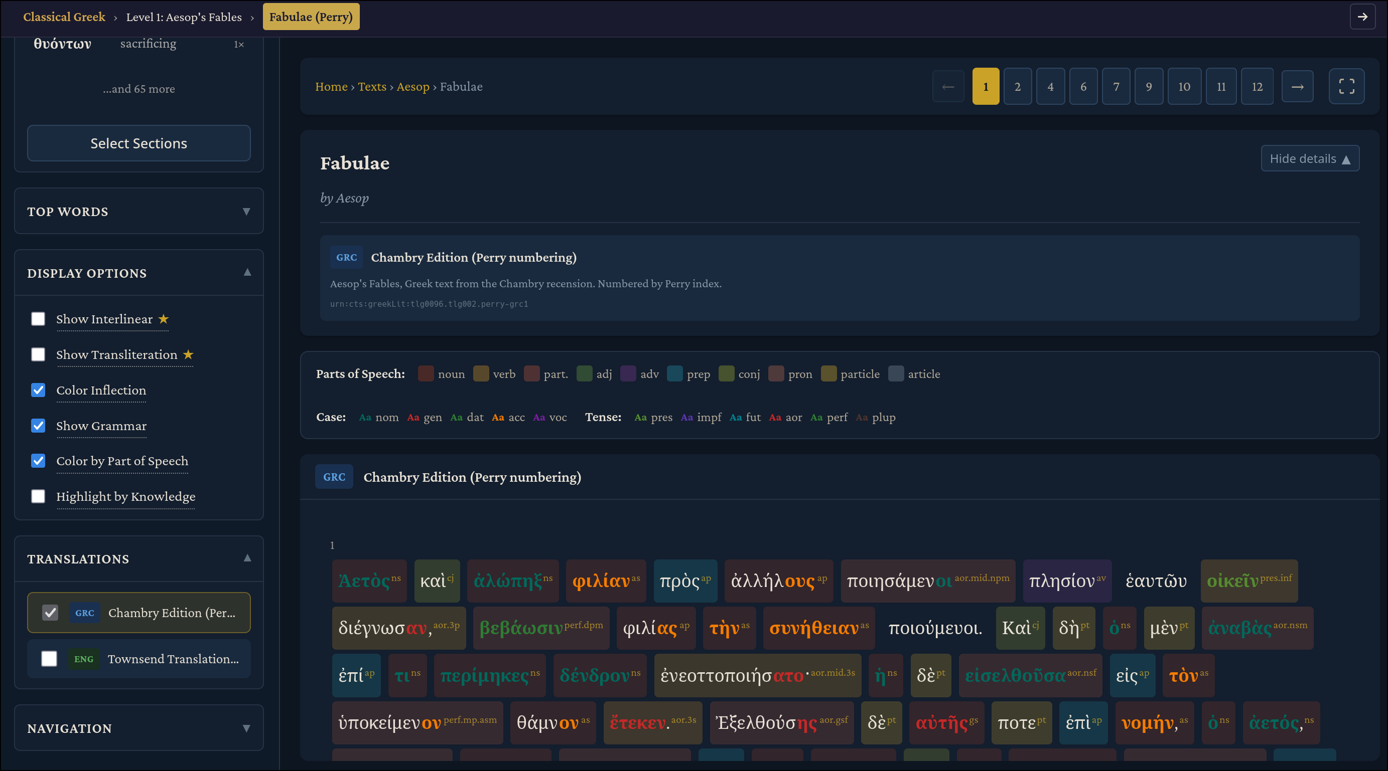 Morphology and display options