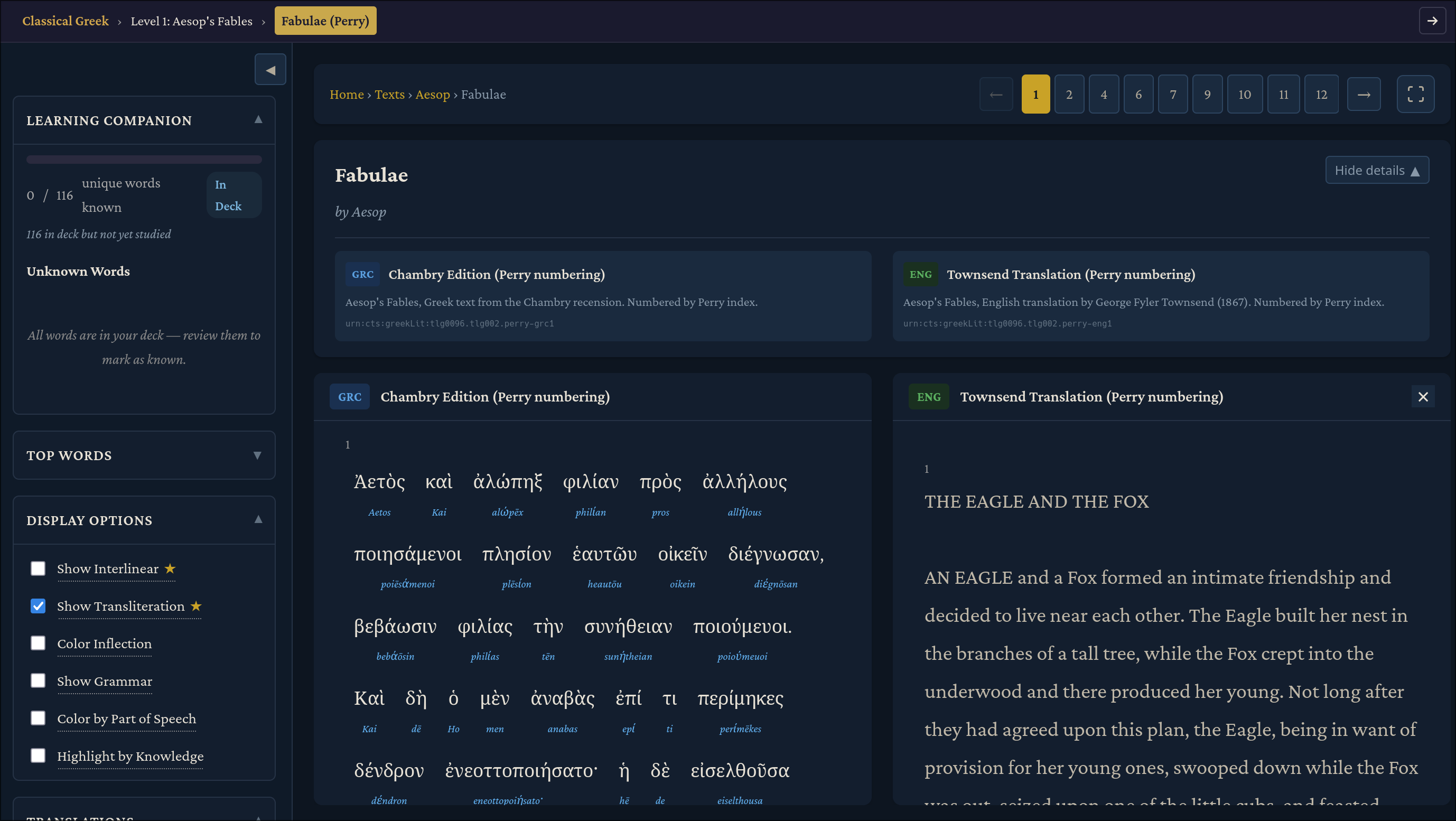 Transliteration view